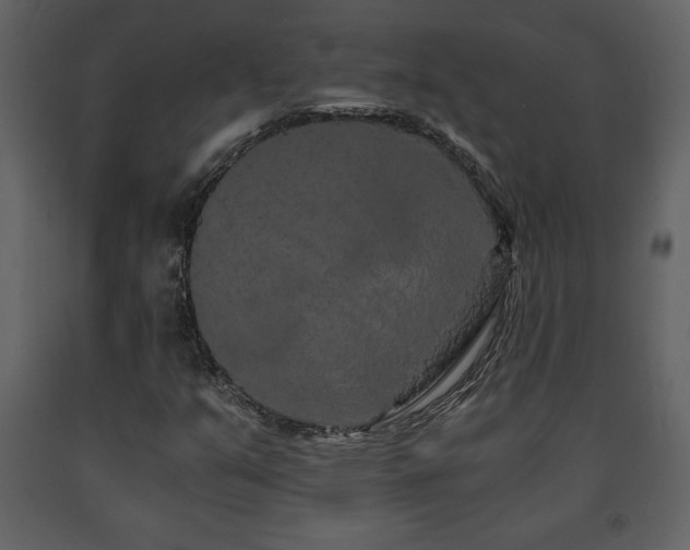 X0000091681351200708231407