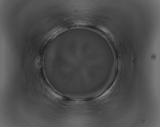 X0000091681353200708231407