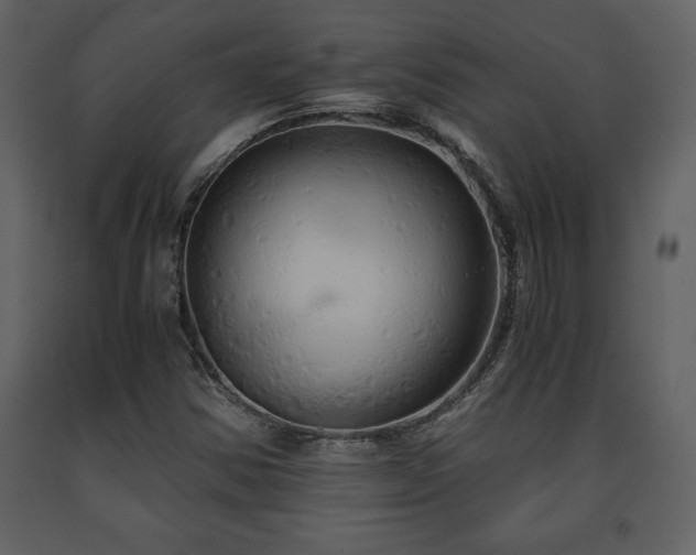 X0000091681354200708231407