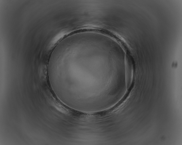 X0000091681355200708231407