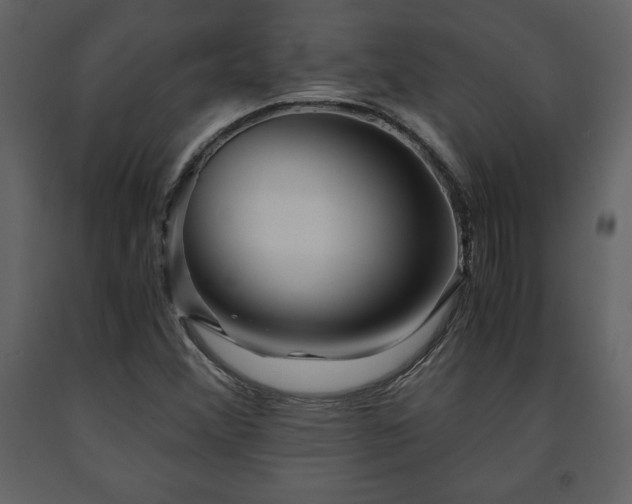 X0000091681356200708231407