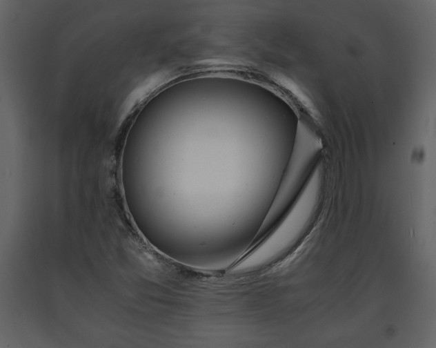 X0000091681357200708231407