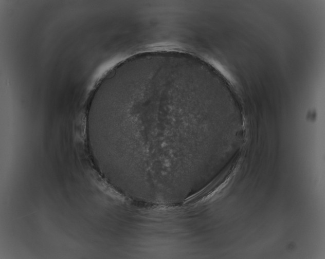 X0000091681358200708231407
