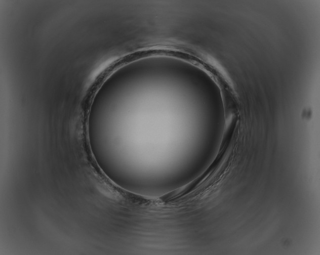 X0000091681360200708231407