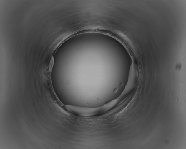 X0000091681361200708231407