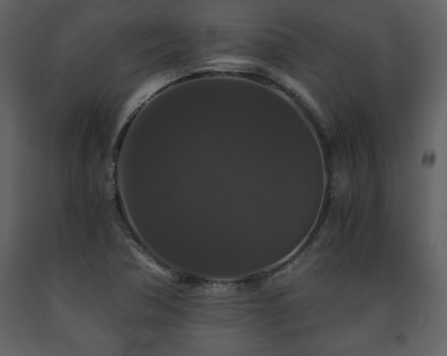 X0000091681362200708231407