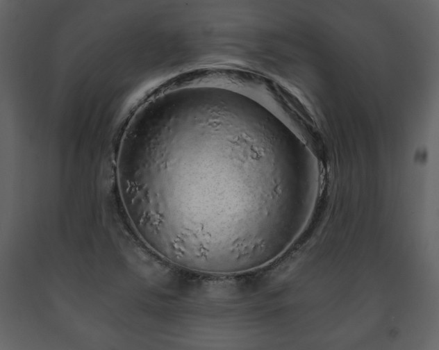 X0000091681363200708231407