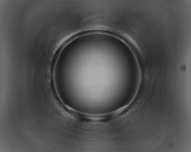 X0000091681364200708231407
