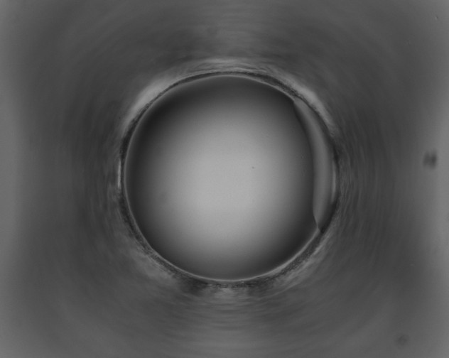 X0000091681365200708231407