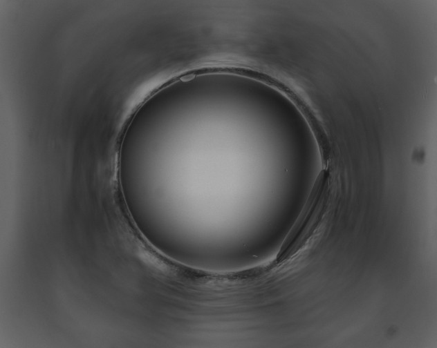 X0000091681366200708231407