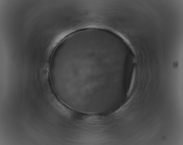 X0000091681367200708231407
