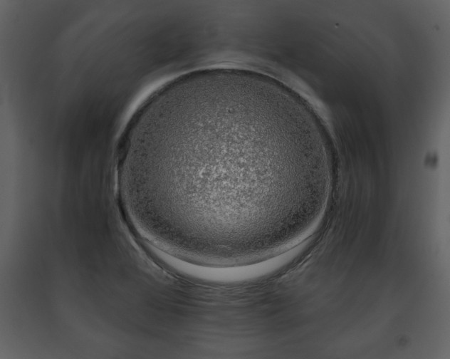 X0000091681368200708231407