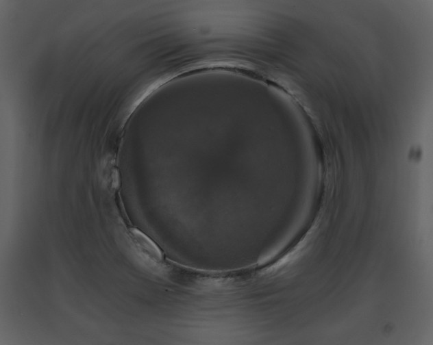 X0000091681369200708231407