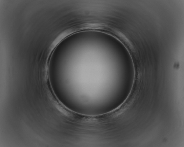 X0000091681370200708231407