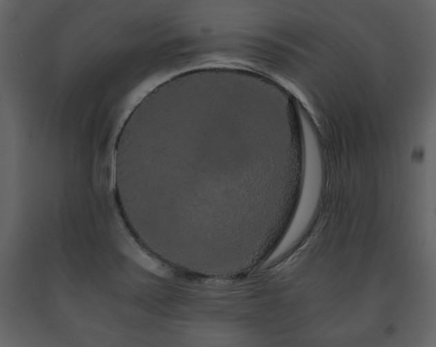 X0000091681371200708231407