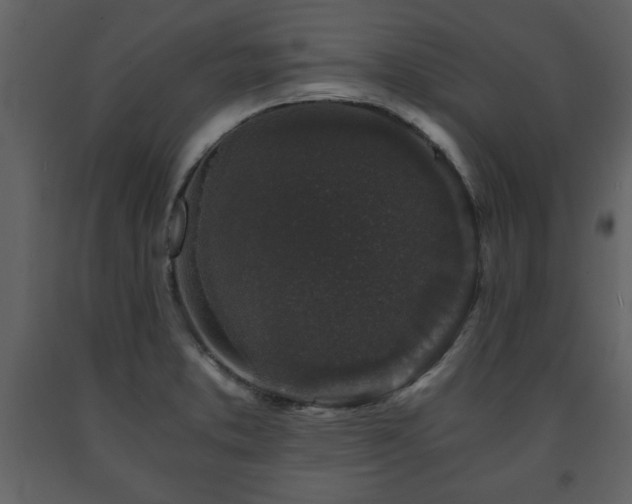X0000091681373200708231407
