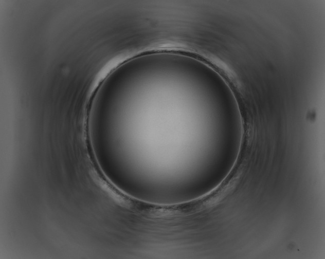 X0000091681374200708231407