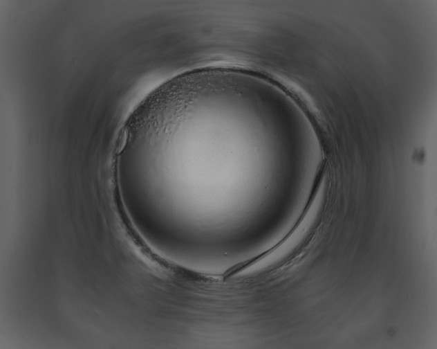 X0000091681375200708231407