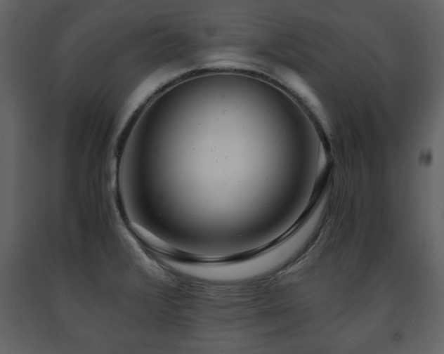 X0000091681376200708231407