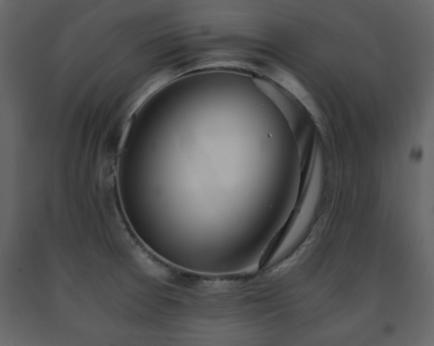 X0000091681377200708231407