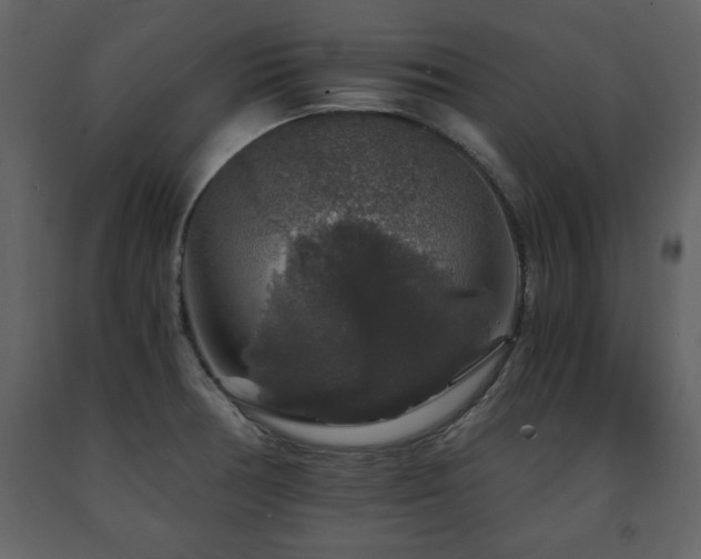 X0000091681378200708231407