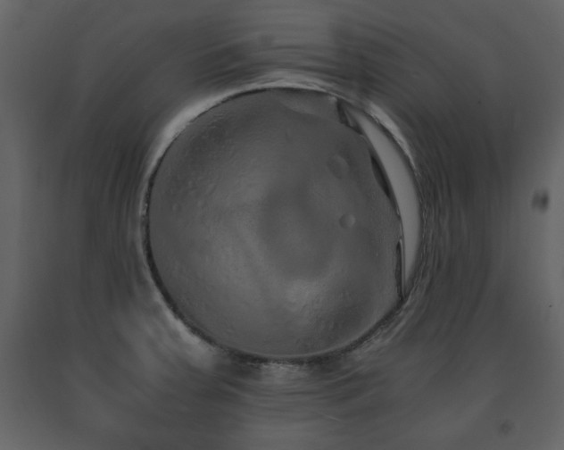X0000091681379200708231407