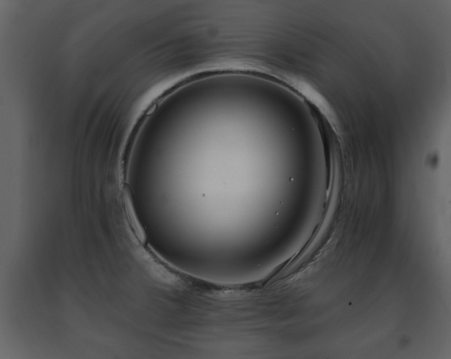 X0000091681380200708231407