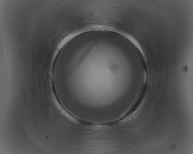 X0000091681381200708231407