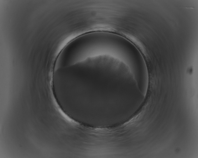 X0000091681383200708231407