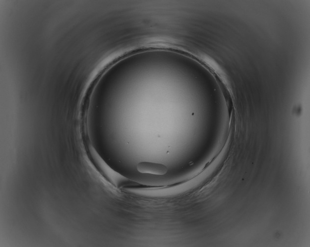 X0000091681384200708231407