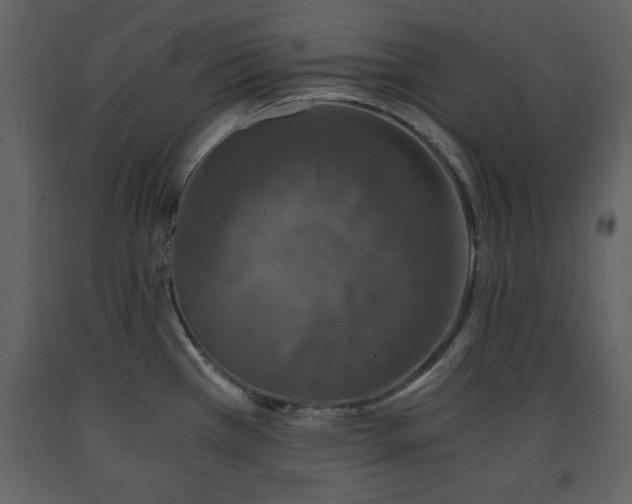 X0000091681385200708231407