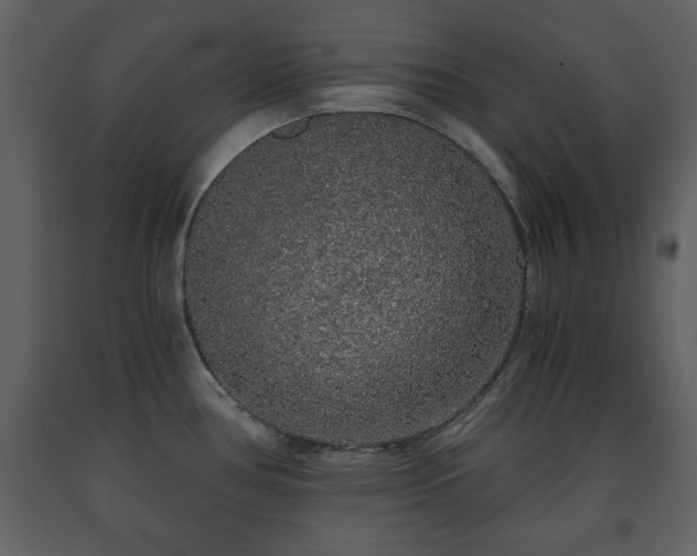 X0000091681386200708231407