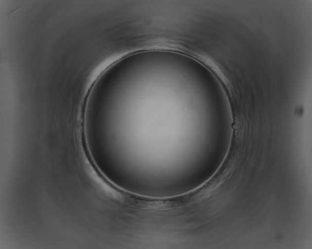 X0000091681387200708231407