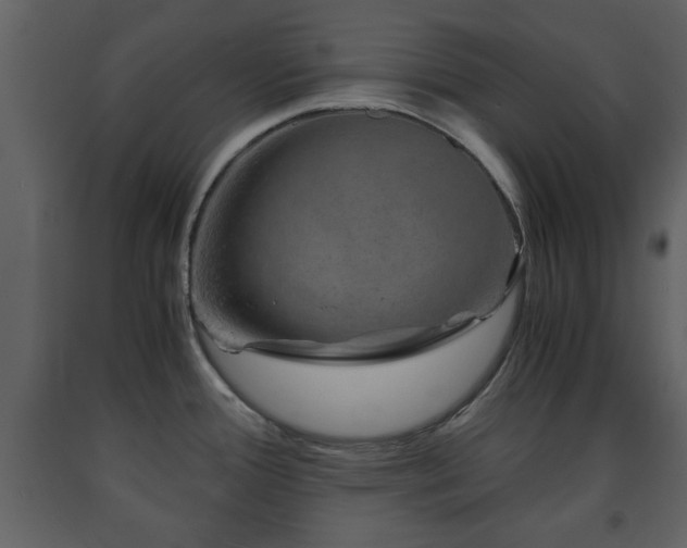 X0000091681388200708231407