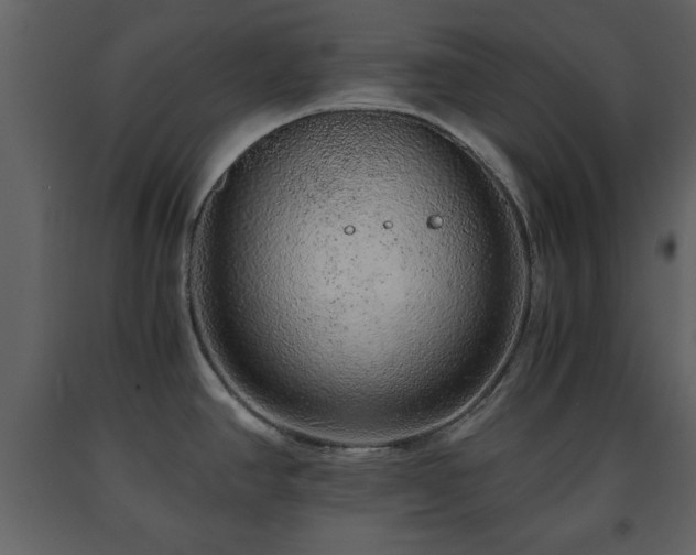 X0000091681390200708231407