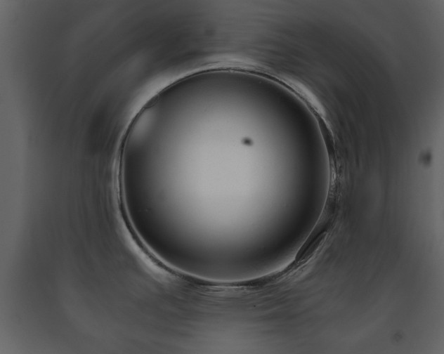 X0000091681391200708231407