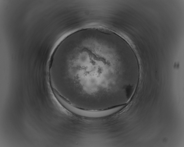 X0000091681392200708231407