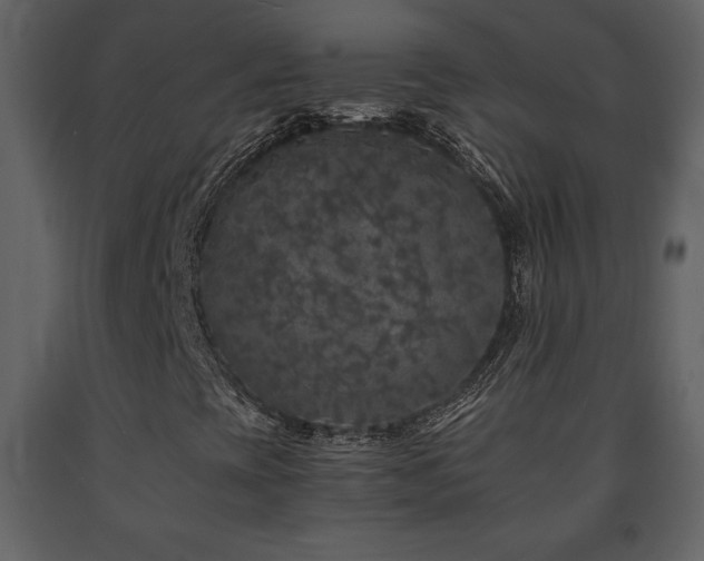 X0000091681393200708231406