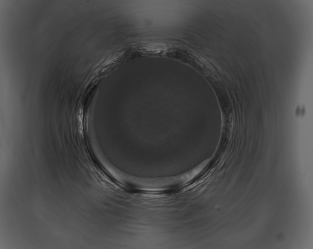 X0000091681394200708231406