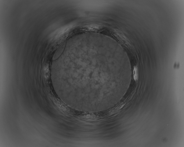 X0000091681395200708231406