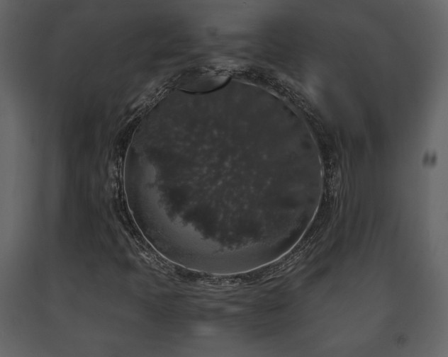X0000091681397200708231406