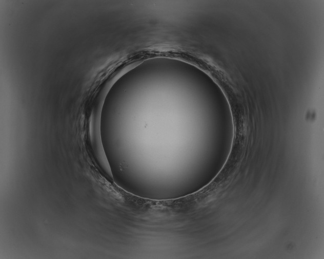 X0000091681398200708231406