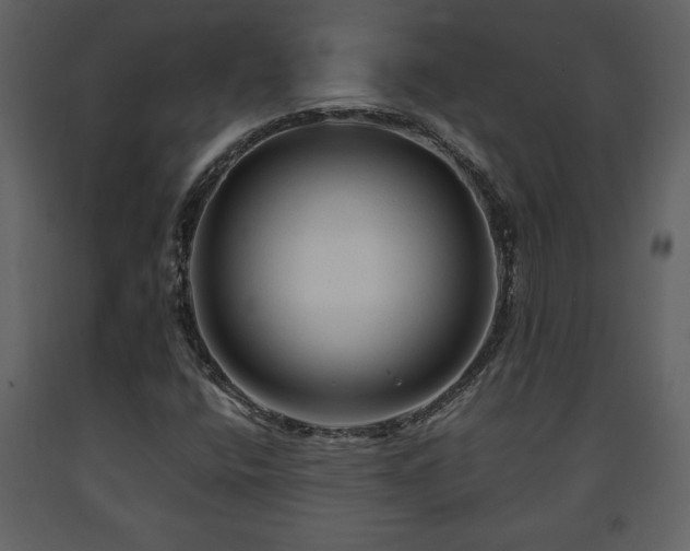 X0000091681400200708231406