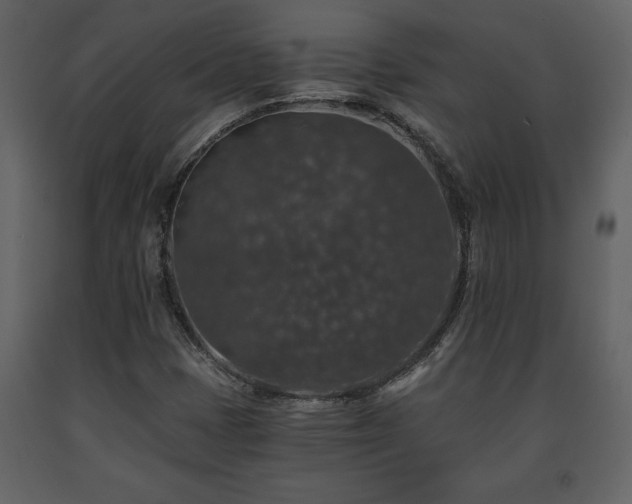 X0000091681401200708231406