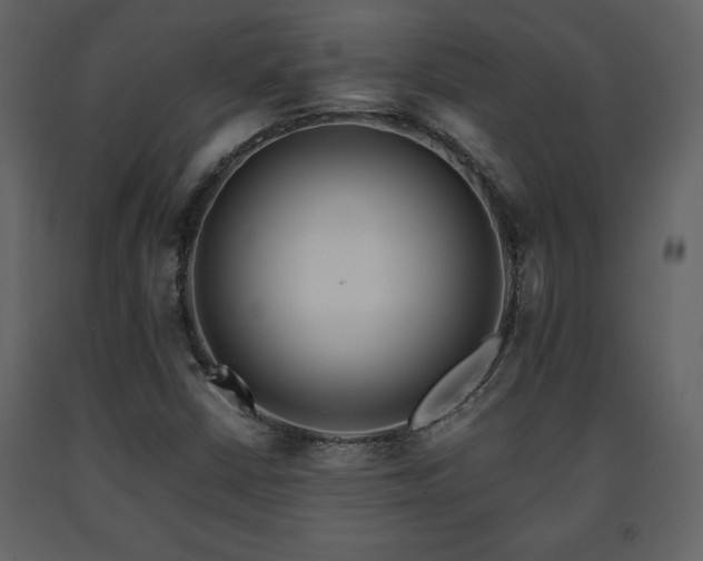 X0000091681402200708231406