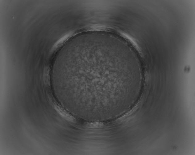 X0000091681403200708231406