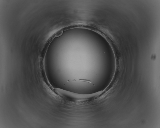 X0000091681404200708231406