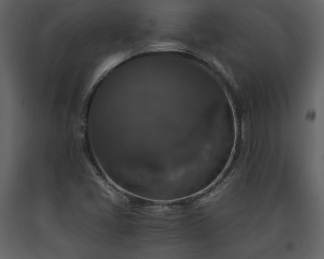 X0000091681405200708231406