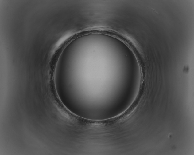 X0000091681406200708231406
