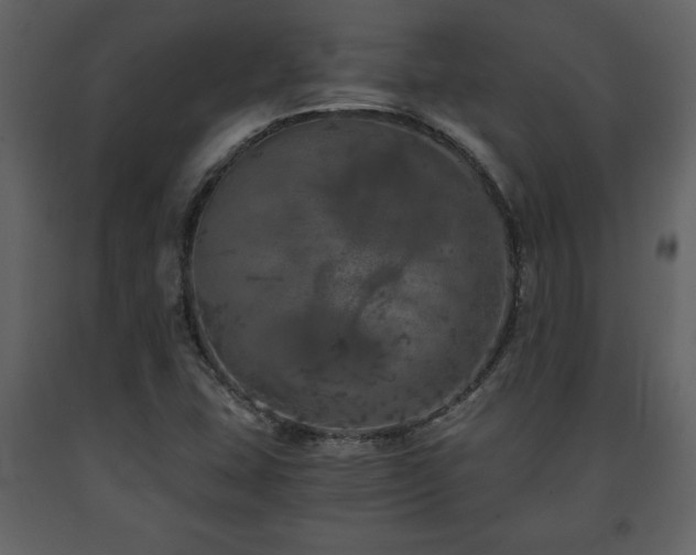 X0000091681407200708231406